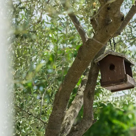 Awesome In With Kitchen