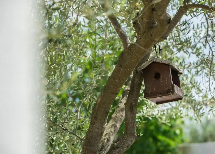 Awesome In With Kitchen