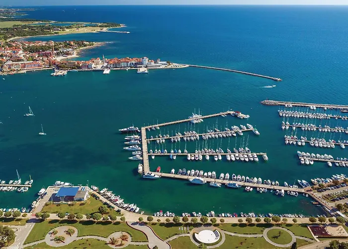 Apartment Awesome In With Kitchen