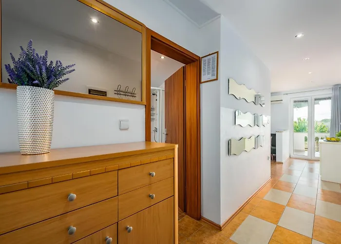 Apartment Awesome In With Kitchen Buje